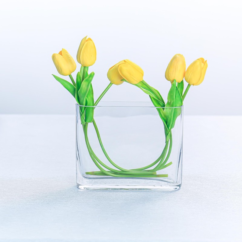 CYS EXCEL Glass Book Vase (H:6" Open:7"x2") Round Edge Oval