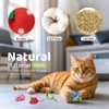 Cat Toys Catnip Mouse Toys for Indoor Adult & Kitten