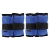 Totority 2pcs Adjustable Ankle Wrist Weights Sandbag Enhance Workout Intensity