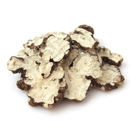 Root: Cnidium Officinale Makino / Chun Goong 4oz / South Korea Imported