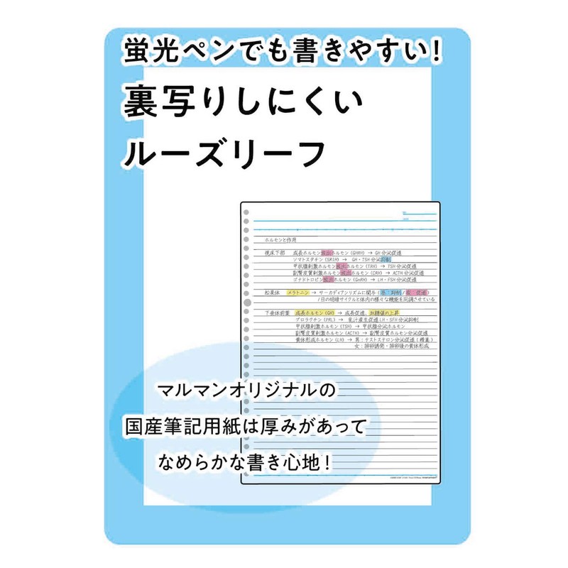 Maruman F584-02 Loose Leaf Binder, A4, Session, 30 Holes, Blue