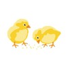 CafePress Baby Chicks Magnets Rectangle Magnet, 2"x3" Refrigerator Magnet (10