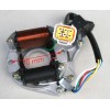 COOLSTER STATOR MAGNETO 2-COIL POLE FOR COOLSTER MAX TRADE 125cc