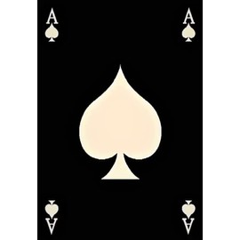 Lucky Aces of Spades Card Game Poker Area Rug Carpet (5’ 3” X 7’ 5”)