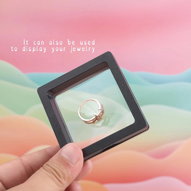 2-Pack Shark Tooth Holder | Sealed Display Case for Shark