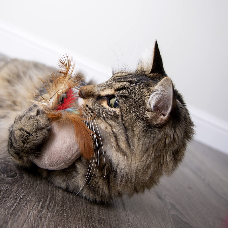 SmartyKat Chit Chatter Electronic Sound Cat Toy, Battery Powered -