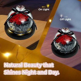 domaxarts Eternal Rose in Rotating LED Glass Dome - Real Preserved Roses with 6 LED Lights, Battery Operated Mother's Day Present for Her - Home Décor & Anniversary Present（red）