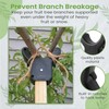 Tree Crutches (2-Pack) - Durable Support for Fruit Tree Branches