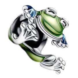 ZURWTCH Fit Women Bracelet Necklaces Fashion Gifts 925 Sterling Silver DIY Jewelry (Climbing Frog Charm 1001)