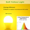 60Watt Yellow LED Bug Light Bulb 2-Pack No Blue Light