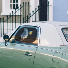 Mr. & Mrs. Panda Auto Sonnenschutz Pinguin Bier - Geschenk, Bierchen, Autosonnenschutz, Sonnenschutz Baby, Oktoberfest, Autoscheiben Sonnenschutz,