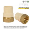 Everflow Supplies BRCPF200-NL 2" Lead-Free Adapter Fitting with a Brass