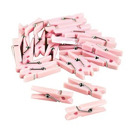 Pastel Pink Mini Clothespin Party Favors (48 pieces)