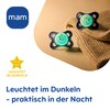 MAM Original Day & Night Soothers, 0-6 Months, Fox/Moon, Pack