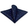 SHLAX&WING Blue Pocket Square Dots Dotty Mens Hanky Silk Business
