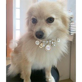 Walquicks Pearl Collars Pet Pearl Necklace Dog Princess Bow Necklace Sweet Bow Cute Collar Puppy Accessories