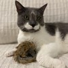SPOT Shaggy Plush Giant Mouse - Cat Toy, Fuzzy Mice