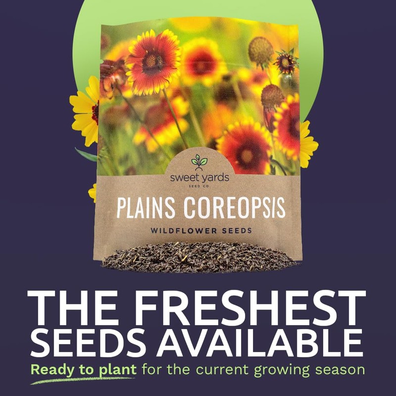Plains Coreopsis Seeds – Native Flowers – Extra Large Packet