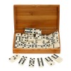 Do-cooler Dominoes Double Dominoes Set Recreation Toys for Kids Adults