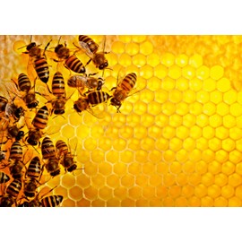 Ravensburger Puzzle 12000614 - Bees - 1000 Pieces Puzzle for Adults and Children from 14 Years - Difficult Puzzle