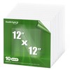 EasBriight 10-Pack of 12×12"×0.02" PET/Plexiglass Sheets, Transparent Flexible Plastic Sheet