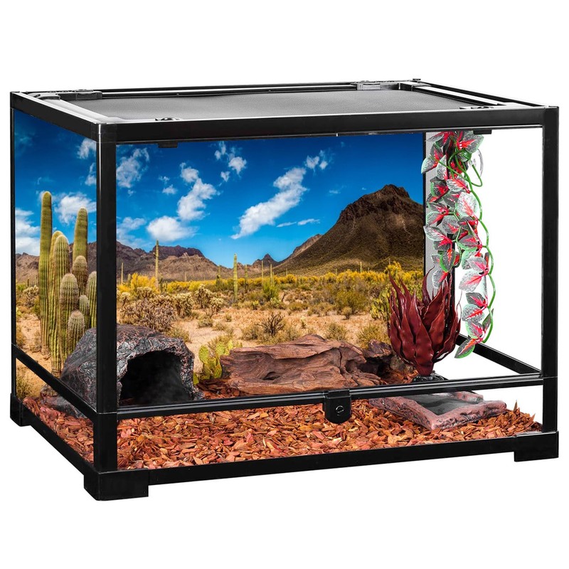 AWERT 48x20 inches Reptile Habitat Background Blue Sky Oasis Cactus