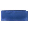 Tiger Claw Kung Fu (Kungfu) Blue Sash