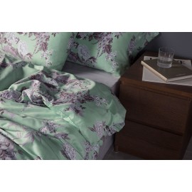 Eikei Home Chinoiserie Chic Peacock Floral Duvet Cover Paradise Garden Botanical Bird and Tree Branches Vintage Stylized Long Staple Cotton Bedding Set (Celadon Ice, Queen)