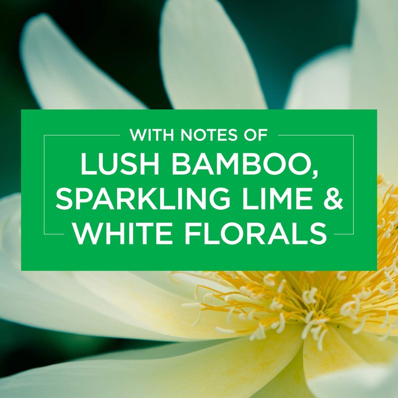 Glade Bamboo Bliss Song Scented Oil Plugin, 20ml