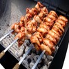 12 Pack Kebab Skewers BBQ Barbecue Skewers Stainless Steel Flat