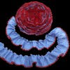 Blue Ruffle Trim Pleated Lace Ribbon 1.2inch x 5 Yards