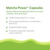 PURE SYNERGY Matcha Power - Organic Matcha Green Tea Capsules
