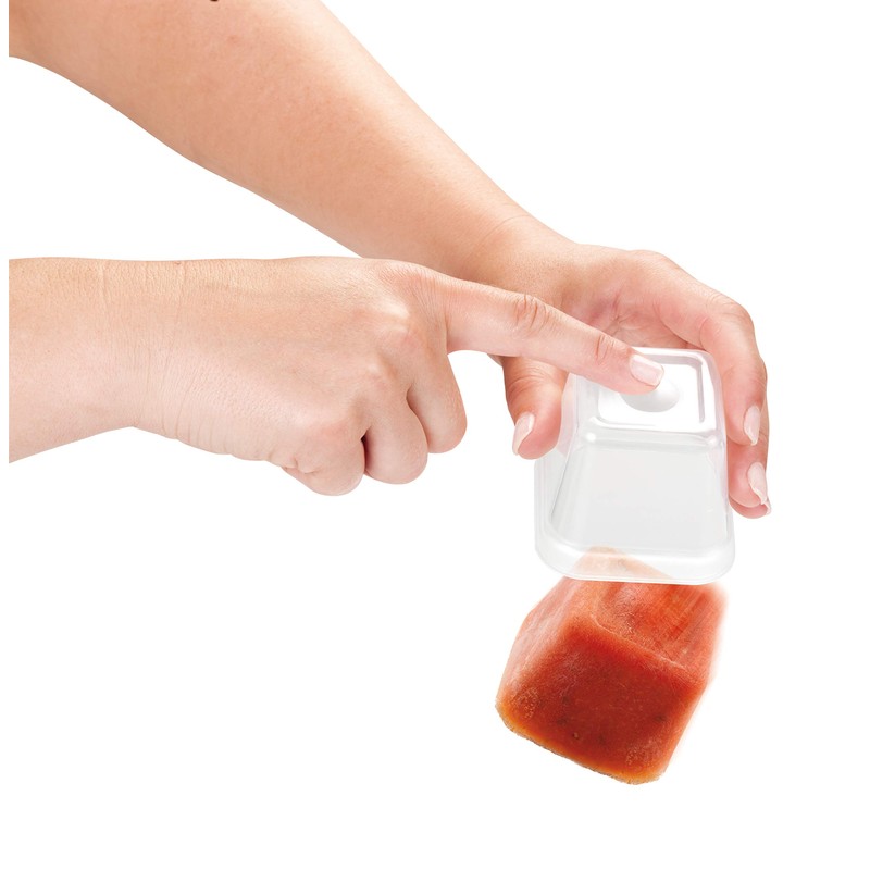 Tescoma Healthy Mini Containers for The Freezer Purity, Assorted, 170