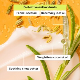 eos Flavor Lab Secret Menu Lip Balm - Peach Yuzu, Limited-Edition, Moisturizing, Hydrating, Dry Lips, Variety Pack, 0.14 oz, 2-Pack