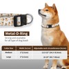 JYCardPKT Dog Collar, Adjustable Funny Pet Collar with Quick Release