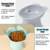 ​2 Psc Tilted Cute cat Food Bowls - 15° Whisker