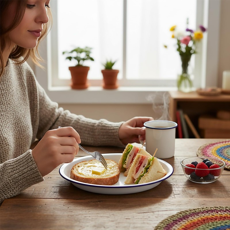 Dicunoy Set of 5 Enamel Plates, 9.5" Unbreakable Enamelware Dinner