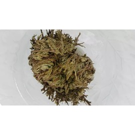 Jericho Flower - 1 Pack - Rose of Jericho, Resurrection Flower, Whole Dried Herb