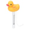 2Pcs Water Thermometer Set High Temperature Resistant Pool Chlorine Dispenser