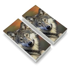 Gray Wolf with Fall Background Eraser Set of 2