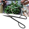 Stainless Steel Bonsai Tool Cutter Branch Cutting Garden Shear Potted