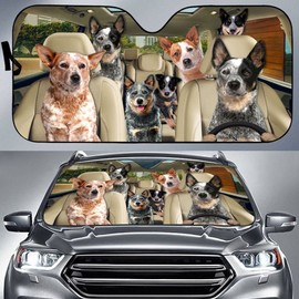 Australian Cattle Dog Windshield Sun Shade Trendy Breathable Car Window Sun Shade Foldable Keep Your Car Cool 51x27.6in for Most Sedans SUV Truck Automotive Passenger Car Minivan Truck