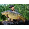 Tandem Baits SuperFeed Fluo Pop-Up Chilli & Robin Red, Carp