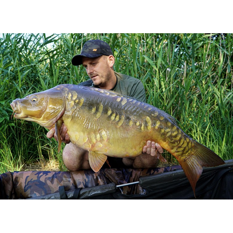 Tandem Baits SuperFeed Fluo Pop-Up Chilli & Robin Red, Carp
