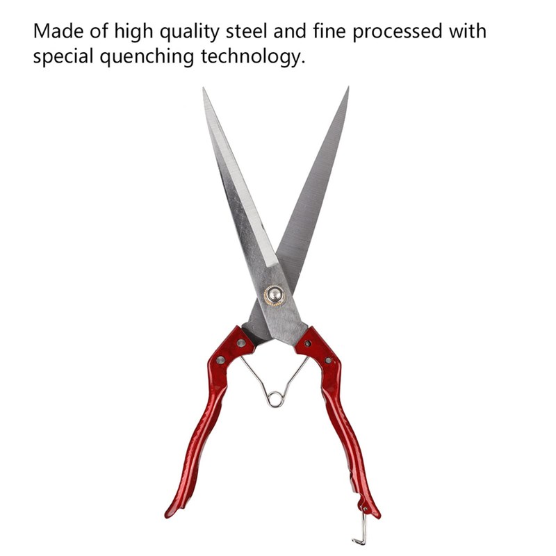 Jeffergarden Goat Hoof Cutter Sheep Scissors 340 mm Universal Scissors