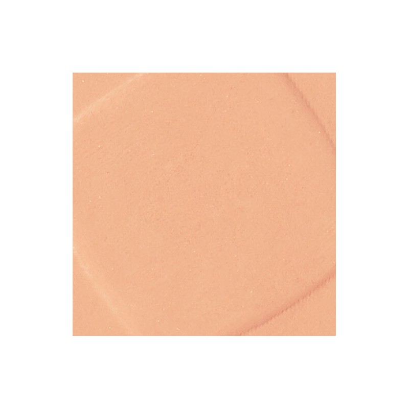 L'Oreal Infallible Foundation In A Powder 245 Golden Honey