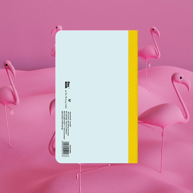 FlexBook Smartbooks Notebook 160 Pages Ruled 13 x 21 cm