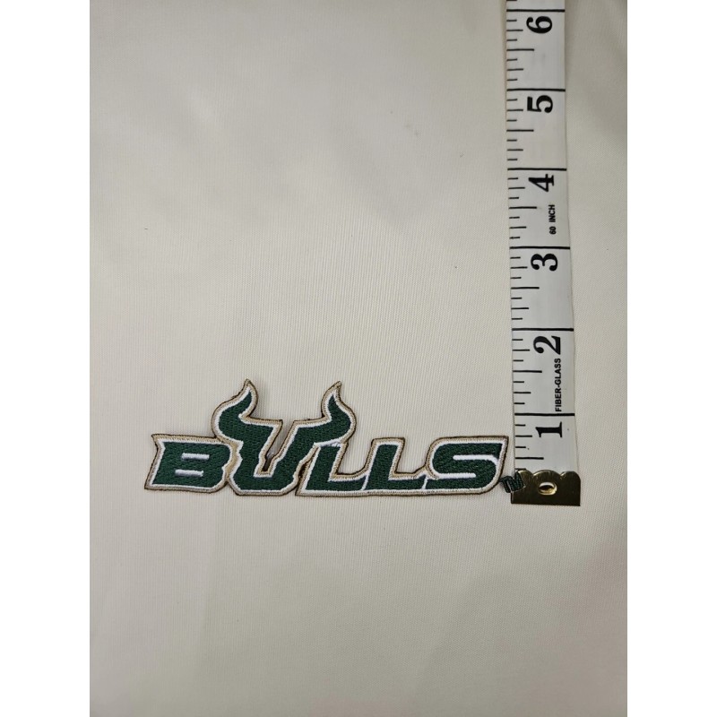 Unbranded Bulls Iron On Embroidered Patch