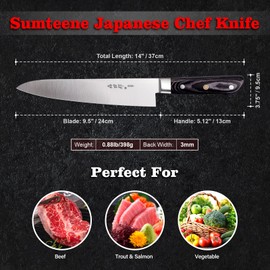 Japanese Chef Knife 9.5 inches, Professional Sushi Knife with Pakkawood Ergonomic Handle, Sharp for Household or Work