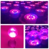 Grow Light Bulbs for Indoor Plants - Full Spectrum E26